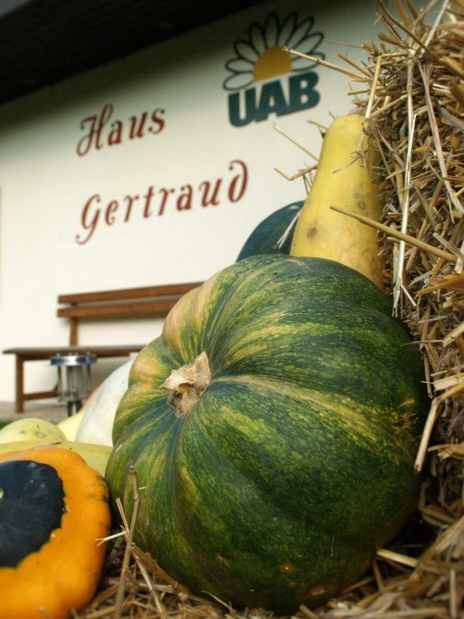 Haus Gertraud Villa Bad Gleichenberg Exterior foto
